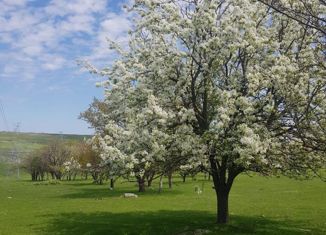 Участок на продажу, 5000 сот., село Знаменка, Счастливая улица