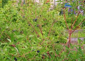 Дом на продажу, 44.1 м2, Мегион, Городская площадь