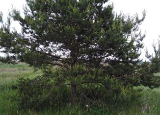 Продам земельный участок, 15 сот., деревня Мозжарино