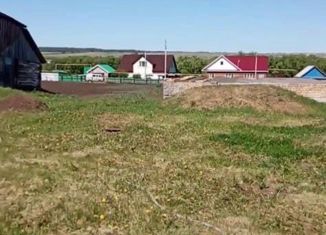 Дом на продажу, 50 м2, село Балтачево, Молодёжная улица, 6