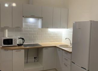 Сдача в аренду квартиры студии, 27 м2, Мурино, Воронцовский бульвар, 10, ЖК Гринландия