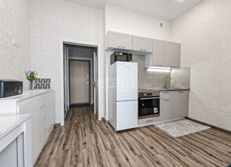 Продается квартира студия, 24 м2, село Чигири, улица Василенко, 3/3