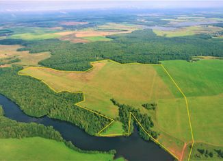 Продаю земельный участок, 6000 сот., деревня Шувалово