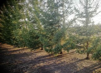 Продаю земельный участок, 10 сот., поселок Научный Городок