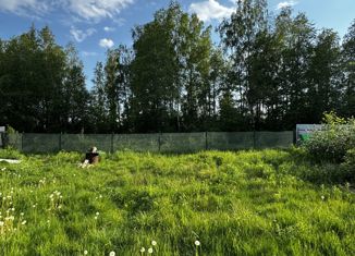 Продаю земельный участок, 6 сот., садоводческий массив Грибное, 7-я линия, 286