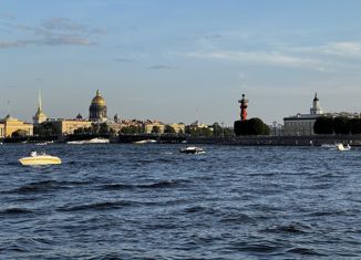 Сдам комнату, 96 м2, Санкт-Петербург, Мичуринская улица, 9/11, Петроградский район