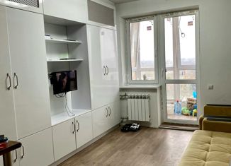 Продаю квартиру студию, 29 м2, Ростов-на-Дону, Днепровский переулок, 117с1, ЖК Днепровская Роща