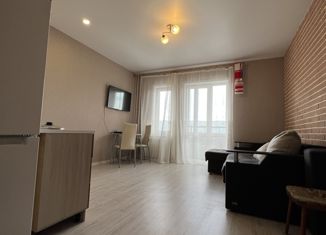 Продажа квартиры студии, 27 м2, Великие Луки, улица Гоголя, 15