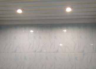 2-ком. квартира на продажу, 44.6 м2, село Городок, улица Красных Партизан, 54