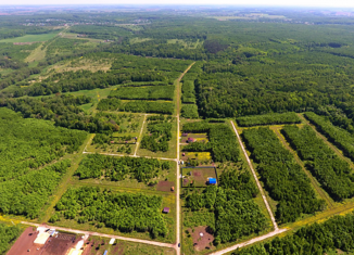 Продается участок, 10 сот., деревня Домнинские Дворы, Лесная улица