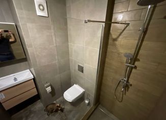 Продается 1-ком. квартира, 37 м2, Колпино, жилой комплекс Новое Колпино, к32, ЖК Новое Колпино