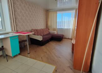 Квартира в аренду студия, 22 м2, Ижевск, жилой район Малиновая Гора, Тверская улица, 55А