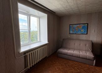 1-комнатная квартира на продажу, 28.3 м2, село Панфилово, Заводская улица, 5