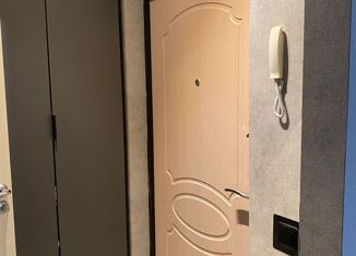 Продажа квартиры студии, 24.4 м2, Санкт-Петербург, Парашютная улица, 58, ЖК Каменка