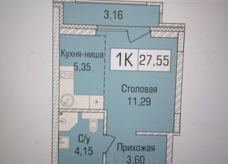 Продам 1-комнатную квартиру, 28 м2, Новосибирск, улица Василия Клевцова, 3, метро Берёзовая роща