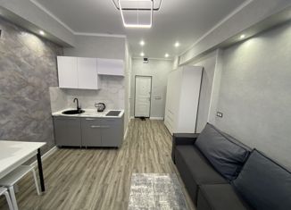 Продаю 1-ком. квартиру, 26.1 м2, Казань, Беломорская улица, 83, Московский район