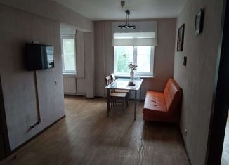 Продам 2-комнатную квартиру, 45 м2, Санкт-Петербург, улица Софьи Ковалевской, 3к3