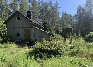 Продаю дом, 50 м2, Выборг, Светлый проезд, 20