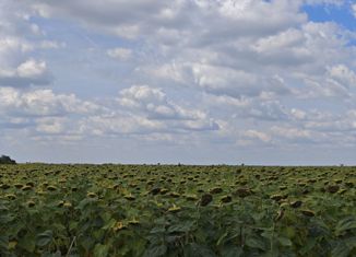 Продажа участка, 9 сот., деревня Усково