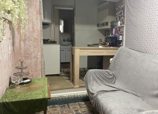 Аренда однокомнатной квартиры, 20 м2, Ставропольский край, улица Чкалова, 39