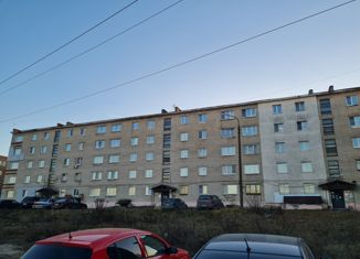 Продам однокомнатную квартиру, 26 м2, Бор, улица Чугунова, 13