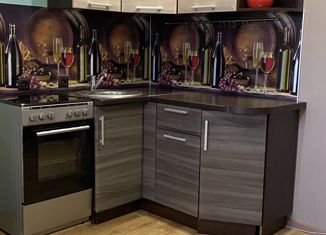 Квартира на продажу студия, 24.3 м2, село Майма, улица М. Глухарёва, 32