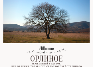 Продаю земельный участок, 165 сот., село Орлиное, Тенистая улица