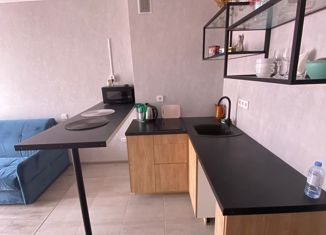 Сдам квартиру студию, 22.6 м2, Ростов-на-Дону, Гарнизонный переулок, 1А