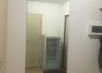 Продажа квартиры студии, 28.3 м2, Санкт-Петербург, Вилькицкий бульвар, 6, Вилькицкий бульвар