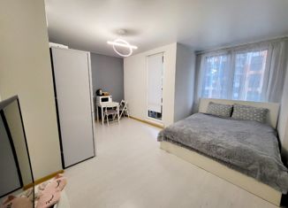 Продам квартиру студию, 24.6 м2, Санкт-Петербург, улица Крыленко, 1к1с2, метро Елизаровская