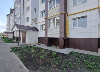 Продам 1-комнатную квартиру, 27 м2, деревня Крутые Выселки, улица Герасимова, 2, ЖК Изумрудный Город