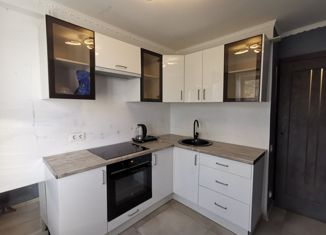 Продажа 1-комнатной квартиры, 34.2 м2, Санкт-Петербург, Елагинский проспект, 42, Елагинский проспект