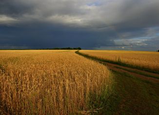 Земельный участок на продажу, 370 сот., село Новоипатово