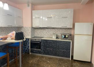 Двухкомнатная квартира на продажу, 67.4 м2, Новосибирск, улица Дуси Ковальчук, 238, метро Гагаринская