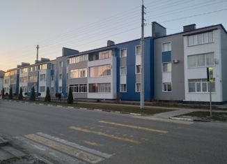 Продам однокомнатную квартиру, 30.4 м2, поселок городского типа Ракитное, Пролетарская улица, 34