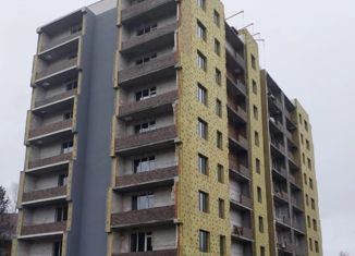 Продам квартиру студию, 43.1 м2, Республика Алтай, улица Петра Сухова, 14/2