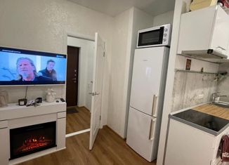 Продается квартира студия, 27 м2, Санкт-Петербург, ЖК Ласточкино Гнездо, Русановская улица, 9