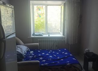 Комната в аренду, 90 м2, Барнаул, Малый Прудской переулок, 40