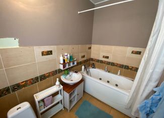 Продажа дома, 300 м2, деревня Лапшинка, СНТ Фея-Лапшинка, 51с1