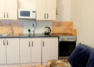 Продам квартиру студию, 24.3 м2, Челябинск, Якутская улица, 11А, Ленинский район