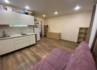 Продаю квартиру студию, 29 м2, Мурино, улица Шувалова, 16/9, ЖК Созвездие