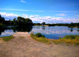 Продается земельный участок, 25 сот., село Кончезеро, Петровская улица