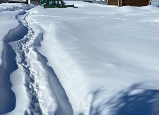 Продаю дом, 37 м2, деревня Петрушата, Центральная улица