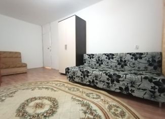 Сдам 3-ком. квартиру, 60 м2, Республика Башкортостан, улица Блюхера, 6