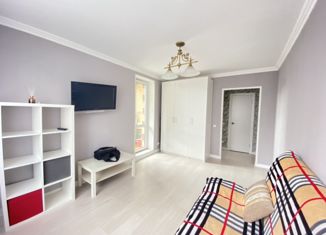 1-ком. квартира в аренду, 34 м2, деревня Кудрово, Европейский проспект, 14к3