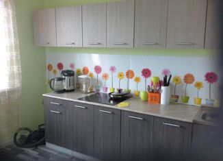 Продается двухкомнатная квартира, 61 м2, Санкт-Петербург, ЖК Каменка, Парашютная улица, 58