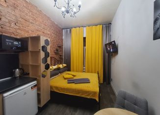 Сдача в аренду квартиры студии, 21 м2, Санкт-Петербург, улица Калинина, 10, муниципальный округ Нарвский