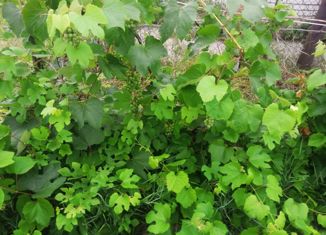 Продажа земельного участка, 4.06 сот., Барнаул, Центральный район, Змеиногорский тракт