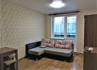 Сдаю квартиру студию, 24 м2, Санкт-Петербург, улица Маршала Тухачевского, 23, улица Маршала Тухачевского