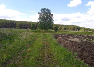 Продаю земельный участок, 26 сот., село Аверино, улица Первый Коммунар, 2